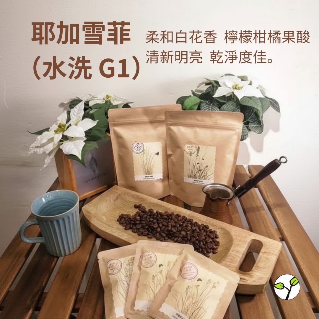 (淺焙)衣索比亞 耶加雪菲 水洗 G1(耳掛包)自家烘焙 精品咖啡