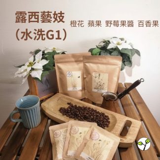 （淺焙）衣索比亞  露西處理站 露西藝妓   水洗 G1(半磅) 自家烘焙 精品咖啡