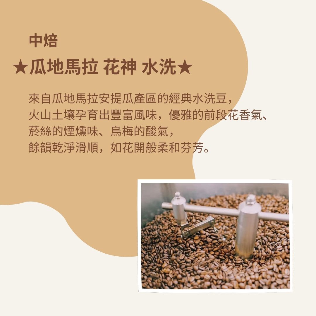 (中焙)瓜地馬拉 花神 水洗(半磅)自家烘焙 精品咖啡:圖片 2
