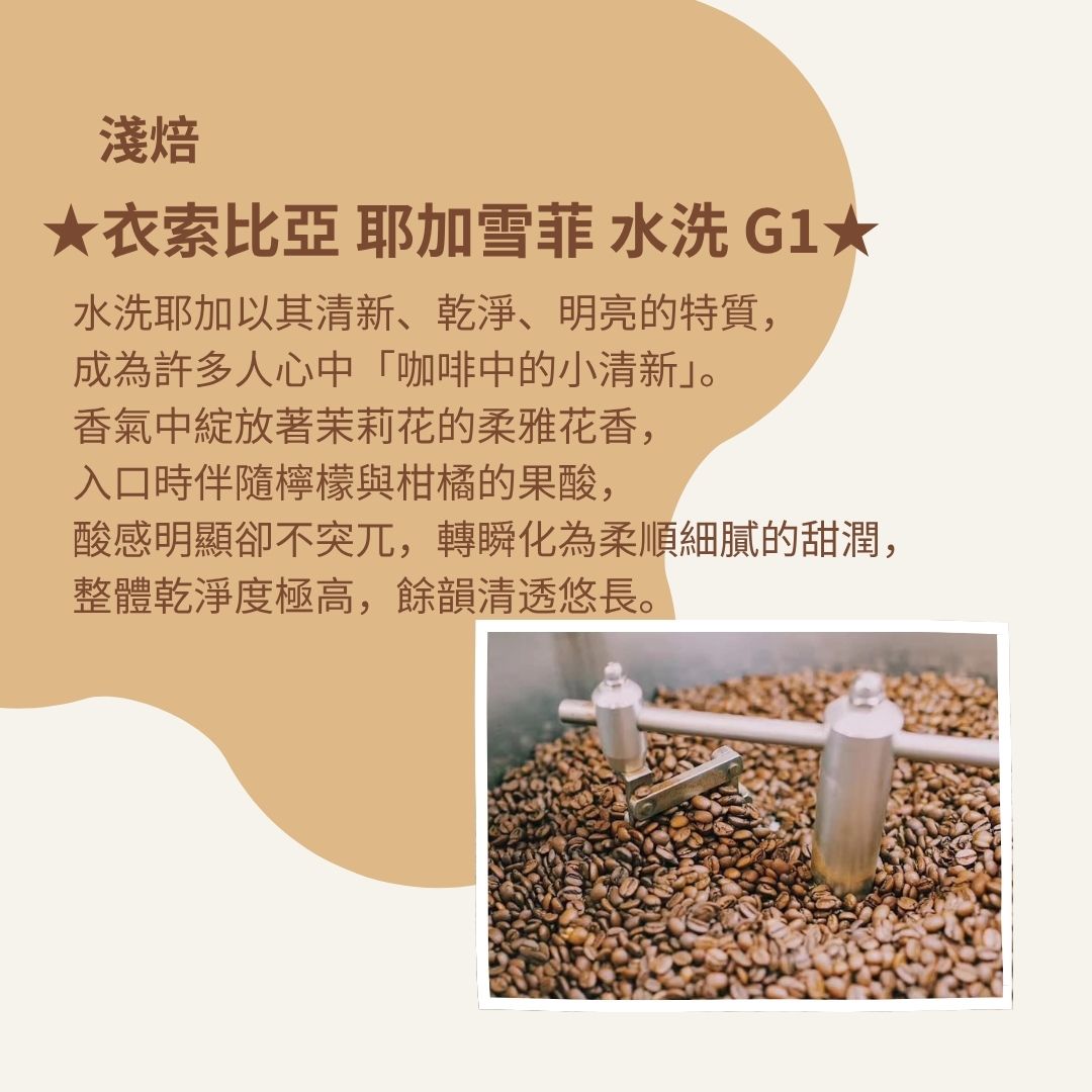 (淺焙)衣索比亞 耶加雪菲 水洗 G1(耳掛包)自家烘焙 精品咖啡:圖片 2