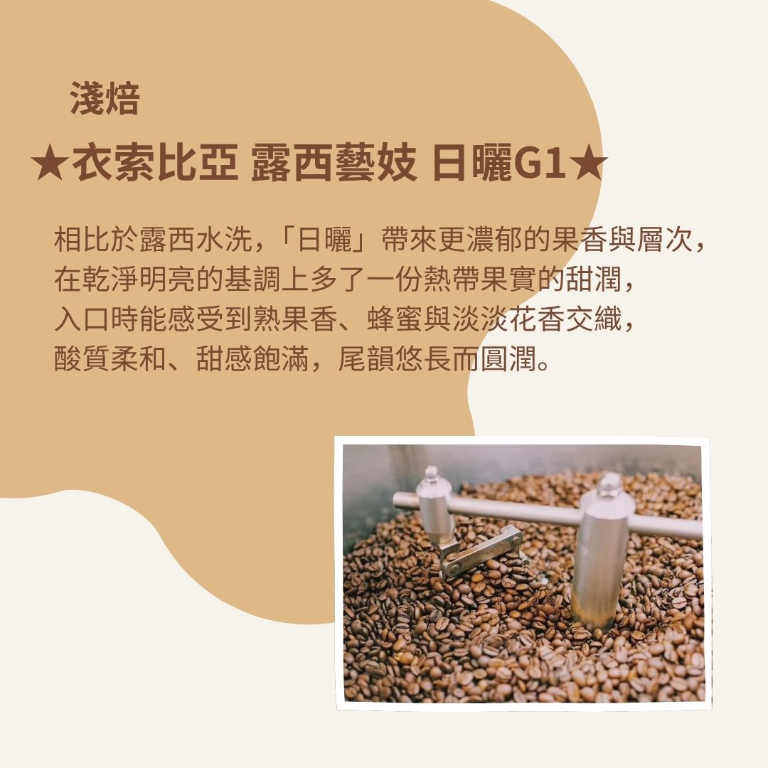 (淺焙)衣索比亞 露西處理站 露西藝伎 日曬G1(半磅)自家烘焙 精品咖啡:圖片 2