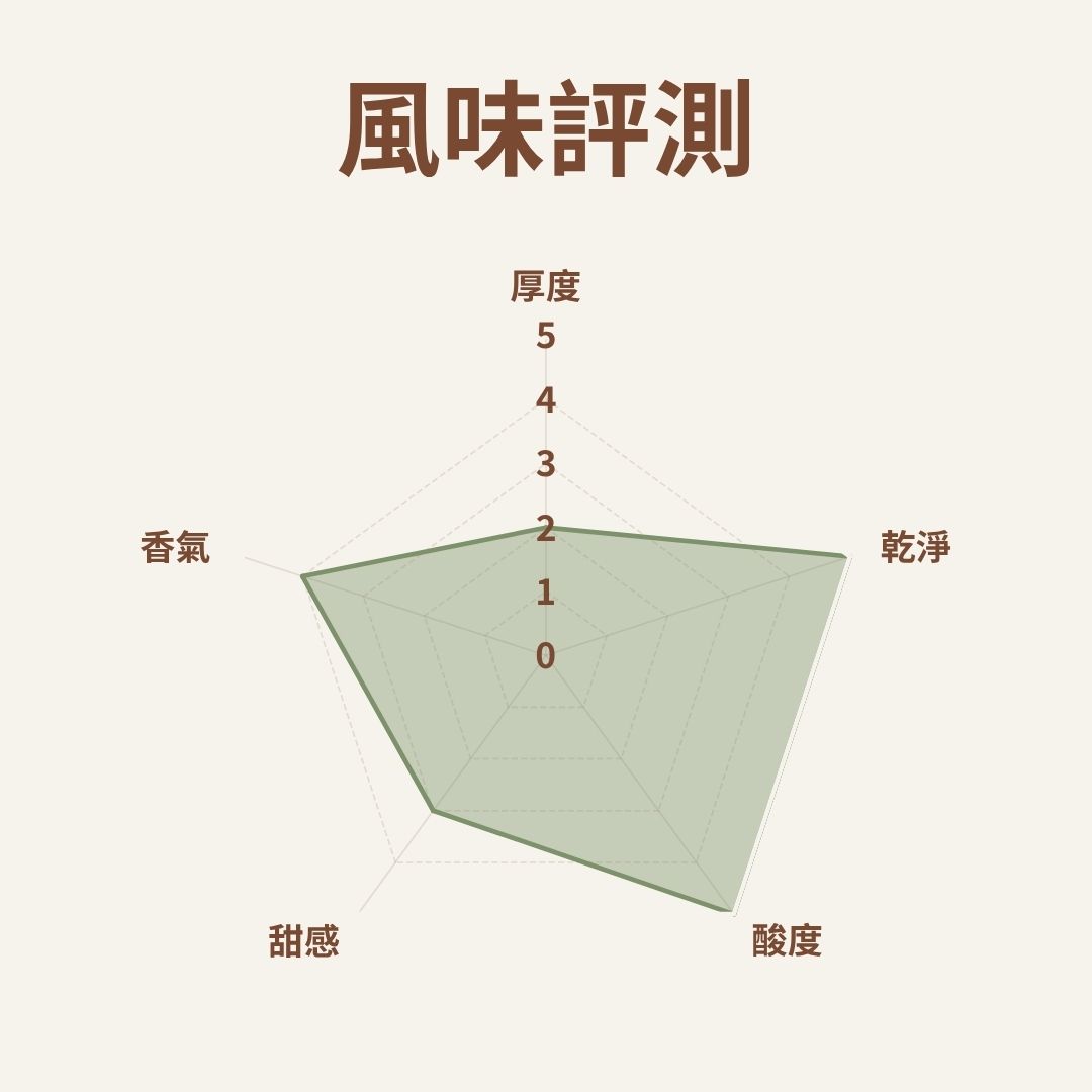 (淺焙)衣索比亞 耶加雪菲 水洗 G1(耳掛包)自家烘焙 精品咖啡:圖片 3