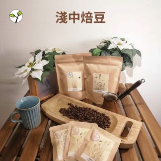 淺中焙豆