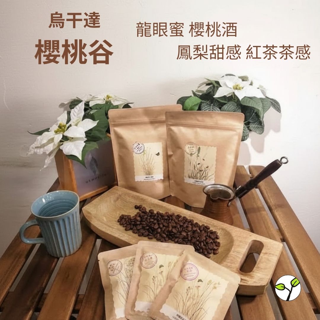 (淺中焙)烏干達 櫻桃谷 厭氧水洗(耳掛包) 自家烘焙 精品咖啡
