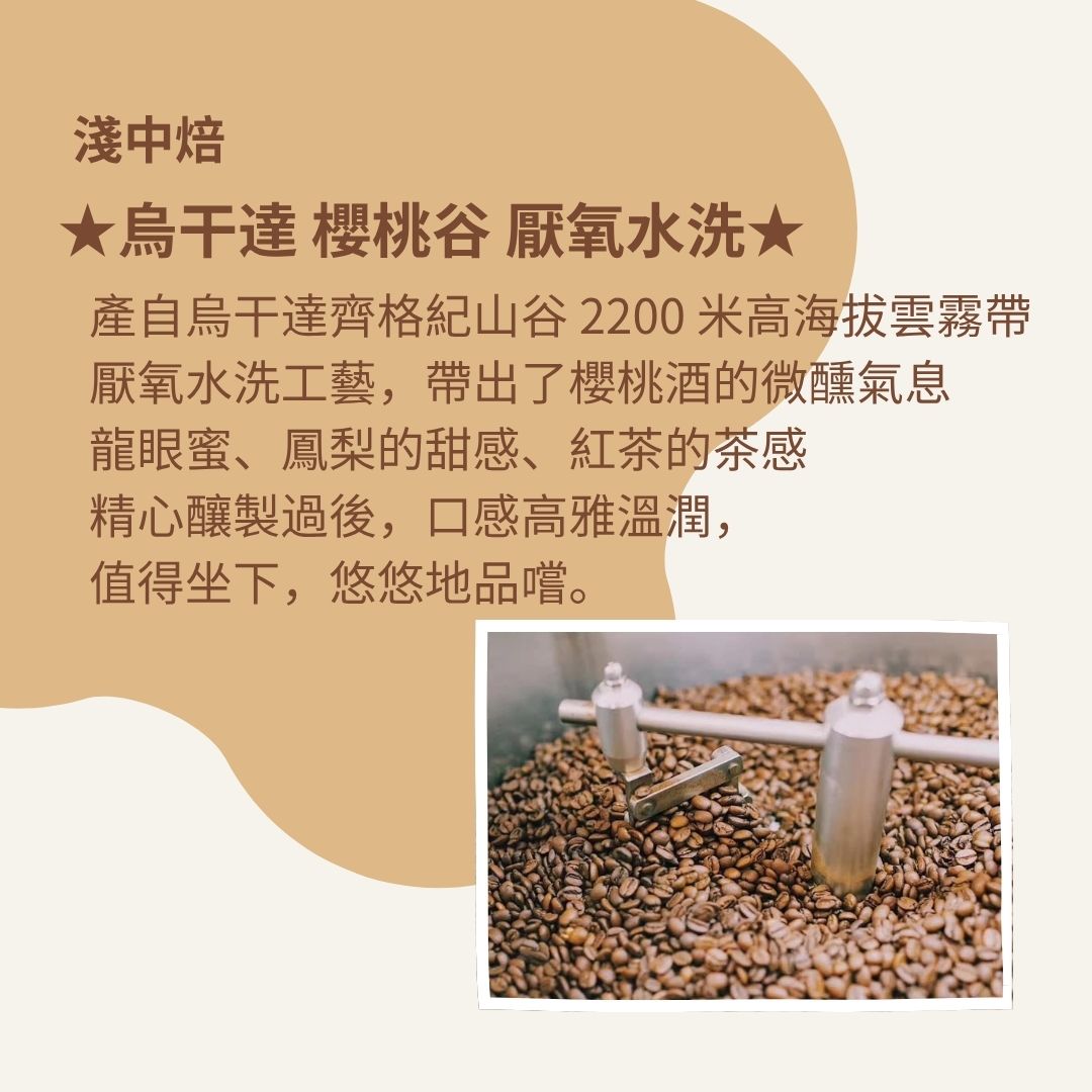 (淺中焙)烏干達 櫻桃谷 厭氧水洗(耳掛包) 自家烘焙 精品咖啡:圖片 2